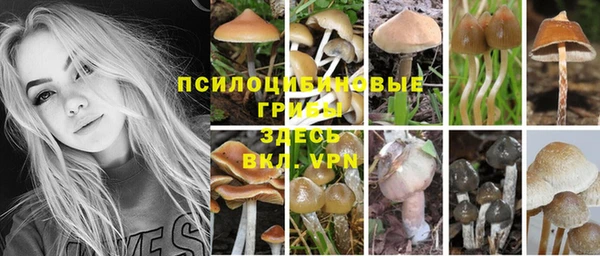 амфетамин Алексеевка