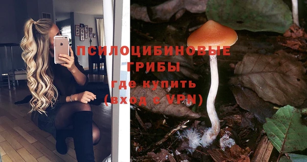 прущая мука Алзамай