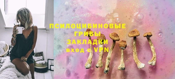 прущая мука Алзамай